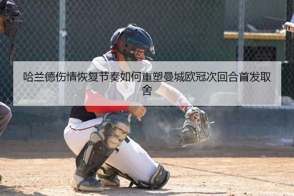 ha-lan-de-shang-qing-hui-fu-jie-zou-ru-he-zhong-su-man-cheng-ou-guan-ci-hui-he-shou-fa-qu-she-2-246.jpg